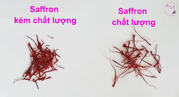 Phân biệt saffron chất lượng và kém chất lượng - Saffron Đà Nẵng